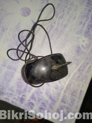 Mouse
